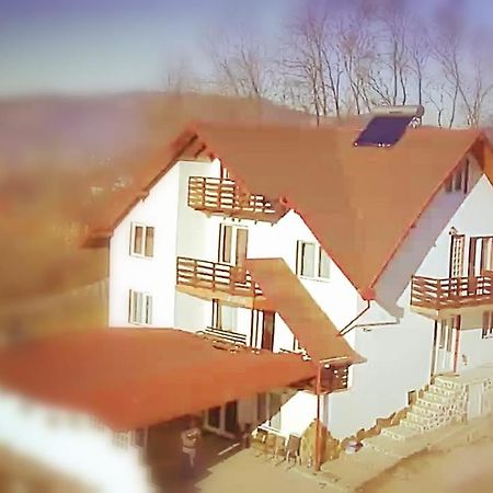 La Curtea Argeseana Apartment Valea Iasului Bagian luar foto