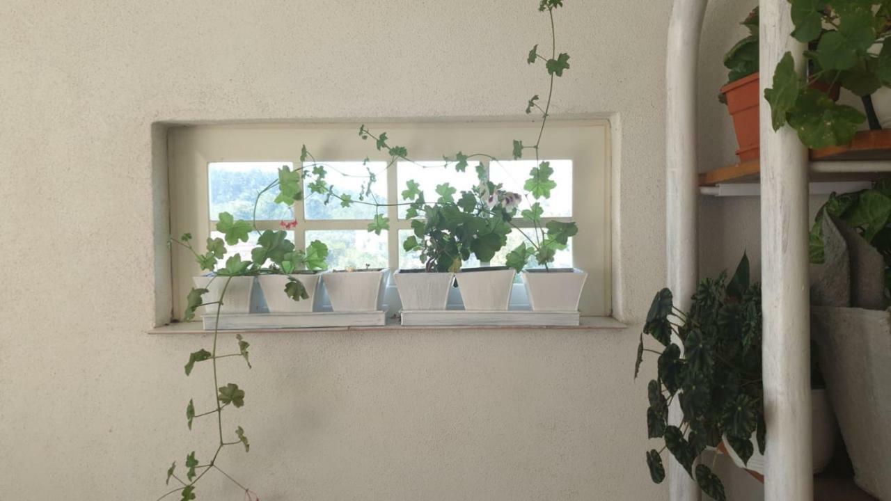 La Curtea Argeseana Apartment Valea Iasului Bagian luar foto