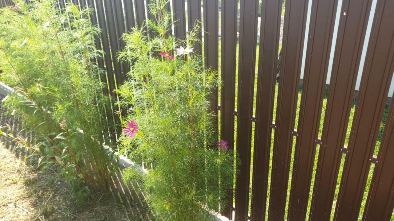 La Curtea Argeseana Apartment Valea Iasului Bagian luar foto
